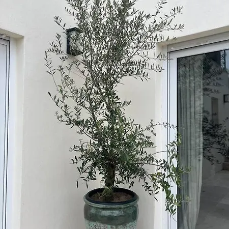 Βίλα De Charme Avec Grand Jardin Centre Sur Trouville-sur-Mer