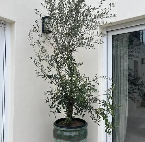 فيلة De Charme Avec Grand Jardin Centre Sur تروفيي سور مير